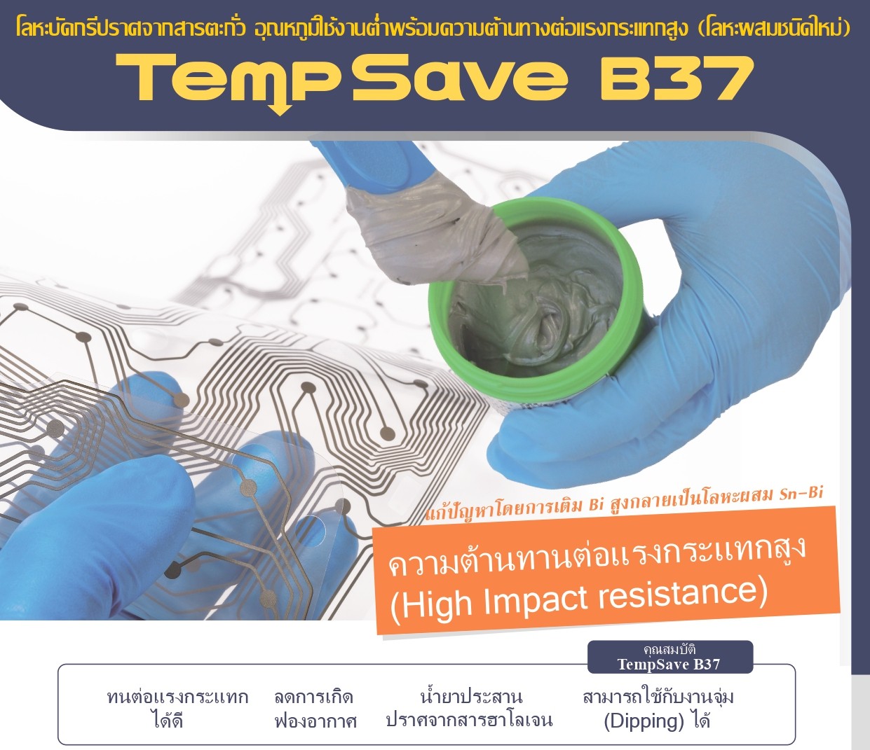 TempSave B37 【Thai】_page-00010